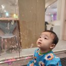 (주) 홀덤존 안양평촌점 | [안양키즈카페] 평촌키즈카페 요미체 — 12개월 아기 베이비오감놀이 체험 후기 (공놀이+야광물감)