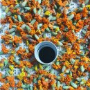 꽃차&약선차 이미지