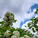 성주관광주유소 이미지