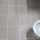 영진아파트 앞 2 이미지