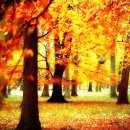 신화1공인중개사사무소 이미지