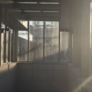 언제나 사랑할개 | 가장 넓은 길은 언제나 내 마음속에