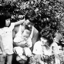 금반농장1 이미지