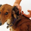 어울림동물병원 이미지