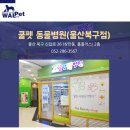 쿨펫동물병원 홈플러스북구점 이미지
