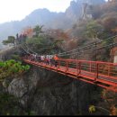 호선농장 이미지