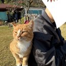 해뜨는봄봄 이미지