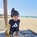 서피비치(surfyy beach) | ​[양양] 해외 감성 가득한 '서피비치 선셋바' 아이와 함께 다녀온 후기 - 하조대