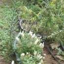 유림농기계 이미지