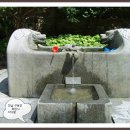 사찰약수터 이미지