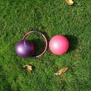 건원대로99번길 이미지