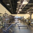 토미짐앤스파 이미지