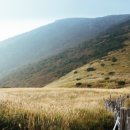 알프스부동산공인중개사사무소 이미지