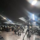 영 헬스 | 등촌역 바로 앞에서 운동 루틴이 달라진 영앤짐 헬스 PT 솔직 후기