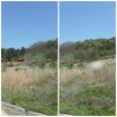 세종펜션민박 이미지