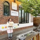 강릉;앨리스 이미지