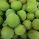 청홍농장 이미지