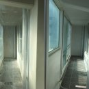 완월동107 이미지