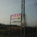 제이제이농장 네이버블로그