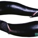 바로그린푸드 이미지
