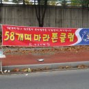 중마애견 이미지