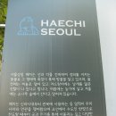 바로잡어 이미지