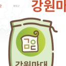 강원원주마대 이미지