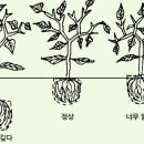 상내농장 네이버블로그