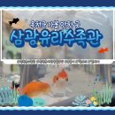스마트홈 옥천점 | [옥천군 수족관] 소동물부터 열대어까지 삼광유리수족관 방문 후기