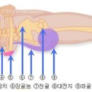 2023년 11월 교육 (욕창예방 및 관리지침) 이미지