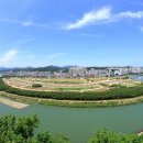 태화강 대공원 세계일보