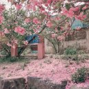 운신초등학교 이미지