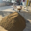 정우골재 이미지