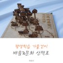 평생학습 가을걷이 올해는 배움&amp;문화 산책로입니다.