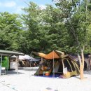 영월 외룡 캠핑장 이미지