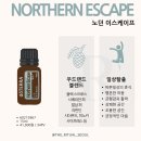 온가드 | 도테라세일 온가드비들렛 쟁일타임!