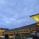 월성별빛달빛 | 경주 야경투어 문화역사해설 첨성대 월정교 도보 코스 후기