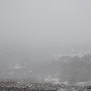 한아름농장 이미지