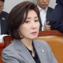 속초·고성 산불에 나경원 "靑사람 보기 쉬운가" 이미지