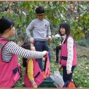 정길남농장 이미지