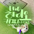 하이오커피남양주