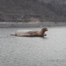 백두태양광발전소 이미지