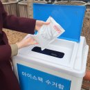 아이스요 이미지