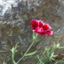 군포-산본-2015 이미지