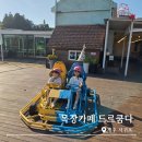 드르쿰다 | 제주 가볼만한곳 아이와 액티비티 투어 목장카페 드르쿰다 카트,승마,사격 후기