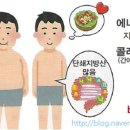 우리장 이미지