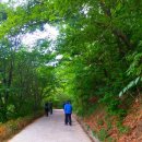 원수산 생태습지2 이미지