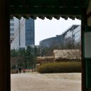 둔산 선사유적지 이미지