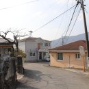 대축경로당 Daum카페