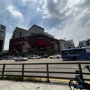 치플레 신세계명동본점 | 명동역 “신세계백화점 본점본관” 내돈내산 후기!?